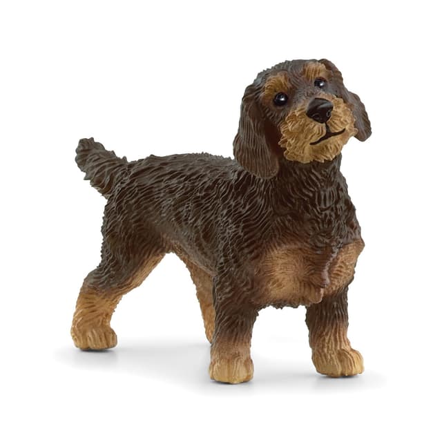 SCHLEICH 13972 Rauhaardackel, ab 3 Jahren, Farm World - Spielfigur, 2 x 7 x 4 cm