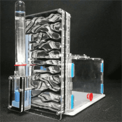 ant grape T-Figur für Ameisen, Ameisen, Insekten, Villa Mania für Haustiere, für Ameisen (Black) Angebot bei HelloDeals