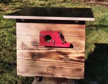 XXXL Hummelkasten mit Wachsmottensperre, 2X Sichtfenster und Nistmaterial geflammt oder Imprägniert Wetterfest Bienenhaus Hummelhaus Nistkasten Hummelvilla Bienen Insektenhaus (geflammt)