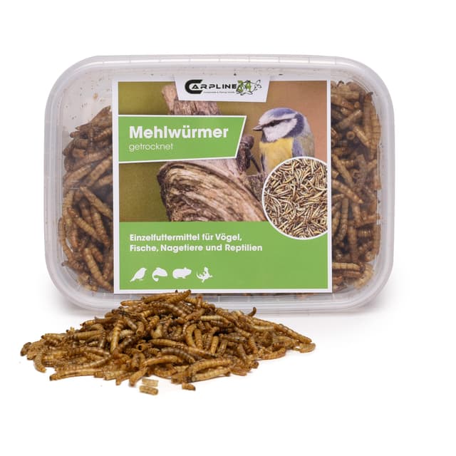 Carpline24 Getrocknete Mehlwürmer 250 ml - Proteinreiche Insekten als Futter für Reptilien, Nager, Igel & Fische, Vogelfutter, Winterfutter 250 ml (1er Pack)