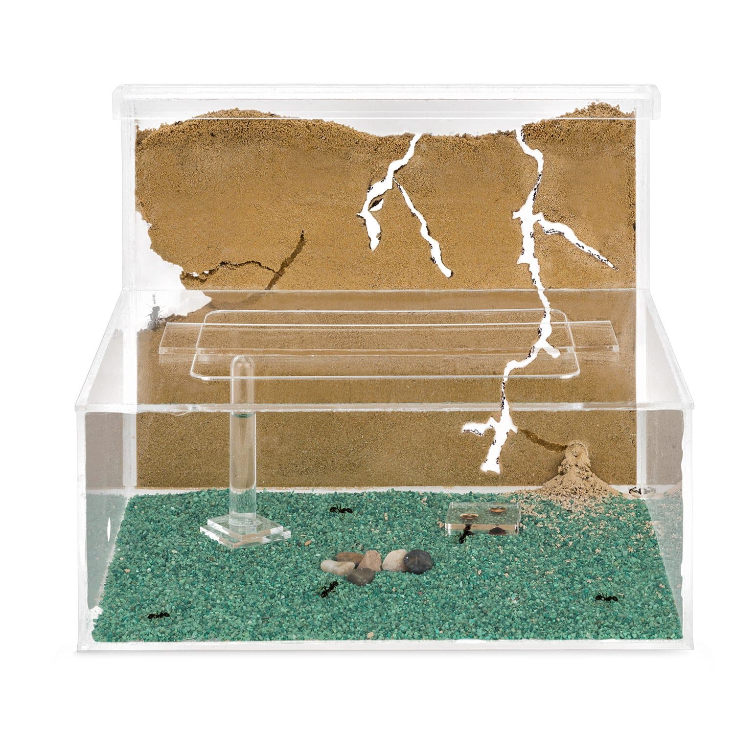 AntHouse - Natürliche Ameisenfarm aus Sand | Modell L (Sandwich + Futterbox) | Inklusive Ameisenkolonie Transparent