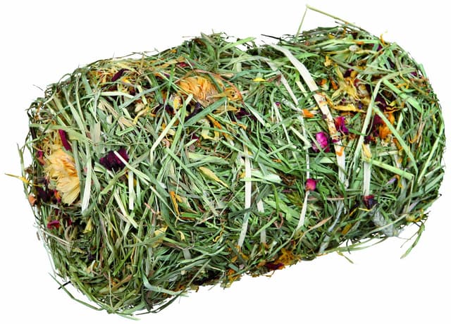 Trixie Heuballen mit Blütenmix, o 10 x 18 cm, 200 g, 1er Pack Karotte Pack of 1