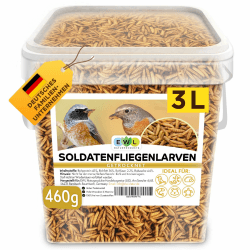 EWL Naturprodukte Soldatenfliegenlarven getrocknet 3 ltr. Premium Insektensnack Vögel, Fische, Schildkröten, Nager, Reptilien, Vogelfutter Wildvögel Ganzjährig Eichhörnchen Futter Igelfutter, 460g 460 g (1er Pack) Angebot bei HelloDeals
