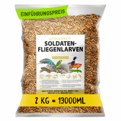 Soldatenfliegenlarven getrocknet 2kg (entspricht 13 Litern), Black Soldier Flys, Vogelfutter, Igelfutter mit Insekten, Fischfutter, proteinreicher Snack für Reptilien und Schildkröten Angebot bei HelloDeals
