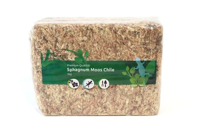 Sphagnum Moos für Terrarium und Orchideen aus Chile 1 x 1000 g für Orchideen & Terraristik - Ideal Substrat & Moosstäbe 1x1000g