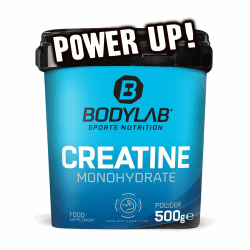 Bodylab24 Creatine Powder 500g, reines Creatin Monohydrat Pulver, 100 Portionen, Produkt der Kölner Liste 500 g (1er Pack)