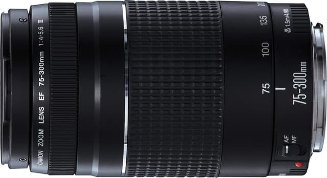 Canon EF 75-300mm f/4.0-5.6 III Lens (Generalüberholt)