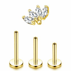 Adramata G23 Titan Helix Tragus Labret Lippenpiercing Medusa Innengewinde Medizinische Ohrstecker Ohr Klein Conch Gold Silber Gold-Blatt Angebot bei HelloDeals