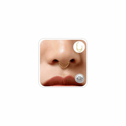 ESHIONER G23 Titan Conch Piercing Schmuck Helix Gold Silber Hoop Septum Rook Tragus Daith Piercing Hinged Segment Clicker 16G 8MM 10MM 12MM Nasenring Double Creolen Helix Knorpel Ohrringe für Damen Gold-Wassertropfen (16g)1.2*8mm Angebot bei HelloDeals