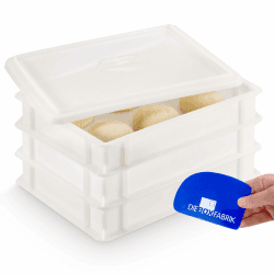 DIE BOX FABRIK 3x Pizzaballenbox Gusto + 1 Deckel, 40x30x7 cm | Gärbox, Teigwanne für Pizzateig. Teigbox für 6 Pizzaballen, Pizzateigbehälter (3x Gusto Box + 1x Deckel) Angebot bei HelloDeals