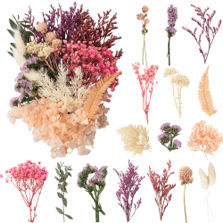 LAUMOE Trockenblumen, Getrocknete Blumen, Trockenblumen Zum Basteln Klein Set ​für Kunst DIY Harz Scrapbooking Handwerk Karten Machen (Stil 4) Angebot bei HelloDeals