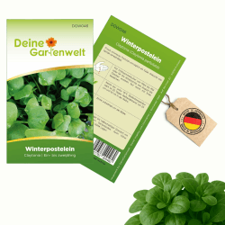 Winterpostelein Winterportulak Samen - Claytonia perfoliata - Portulaksamen - Gemüsesamen - Saatgut für 250 Pflanzen Angebot bei HelloDeals