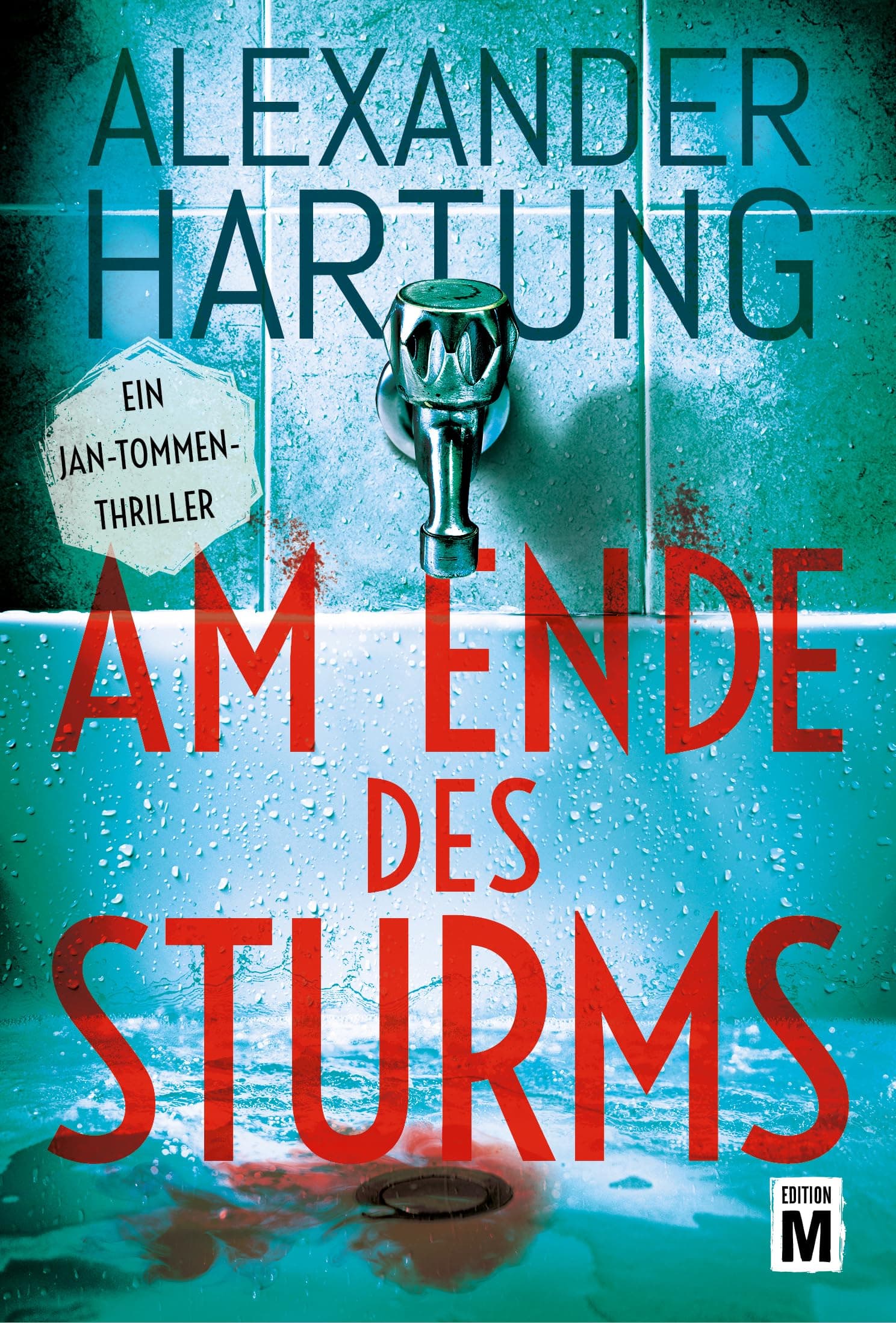 Am Ende des Sturms (Ein Jan-Tommen-Thriller 12)