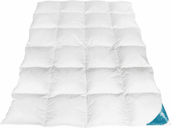 Daunendecke Winterdecke Extra Warm Daunen Decke Daunen Steppdecke Gänsedaunen 100% Natur, Öko-Tex Zertifiziert - 135x200 1600gr. 135x200 1600.0 Gramm Angebot bei HelloDeals