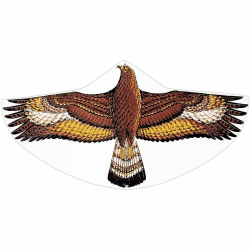 Günther Flugspiele 1146 - Einleiner-Drachen Steinadler, ca. 122 x 68 cm, Kinderdrachen aus robuster PE-Folie, für Kinder ab 4 Jahren, inkl. Griff und Drachenschnur Angebot bei HelloDeals