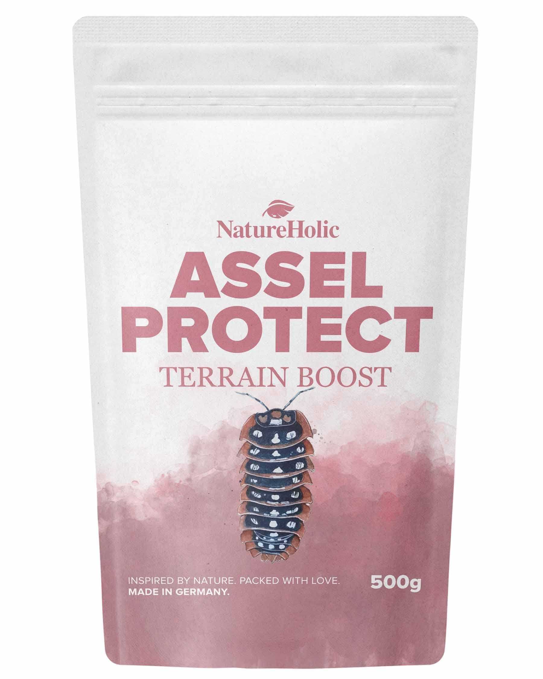 NatureHolic Assel Protect TerrainBoost - Bodenverbesserer für Asselterrarien | Fördert Bodenleben & Gesundheit der Asseln | Schimmel- und Bakterienschutz | Für vitalen Bodengrund | 500g 500 g
