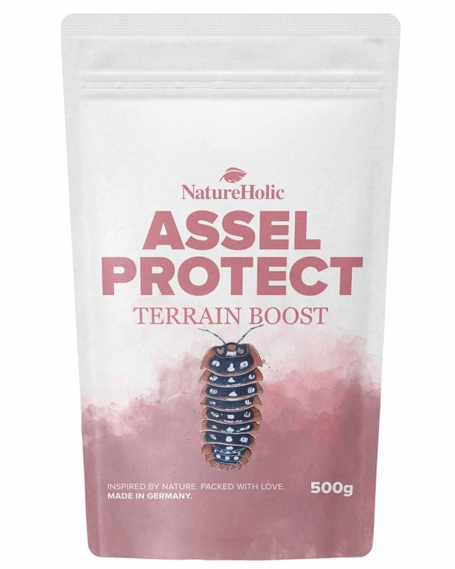 NatureHolic Assel Protect TerrainBoost - Bodenverbesserer für Asselterrarien | Fördert Bodenleben & Gesundheit der Asseln | Schimmel- und Bakterienschutz | Für vitalen Bodengrund | 500g 500 g