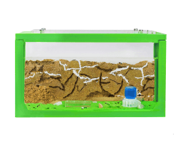 AntHouse - Ameisenfarm mit Ameisen Starterset | 3D Ameisenfarm 20x10x10 cm Grün | Ameisen inklusive Angebot bei HelloDeals