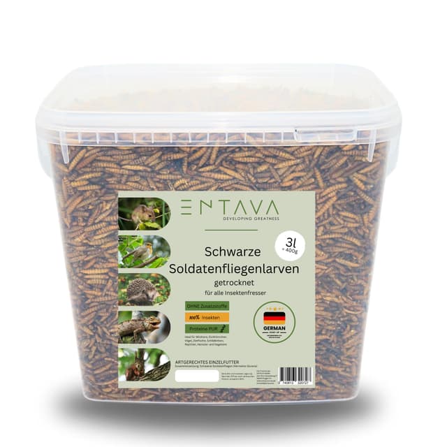 ENTAVA 3l Soldatenfliegenlarven getrocknet in Premium-Qualität, Vogelfutter, Koifutter, Igelfutter, Eichhörnchenfutter, ganzjähriges Futter für Wildvögel (3 Liter (500g)) 10 l (1er Pack)