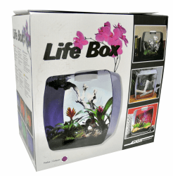 Lucky Reptile Life Box, Größe:30x18x30 cm. Farbe Beere beere klein Angebot bei HelloDeals
