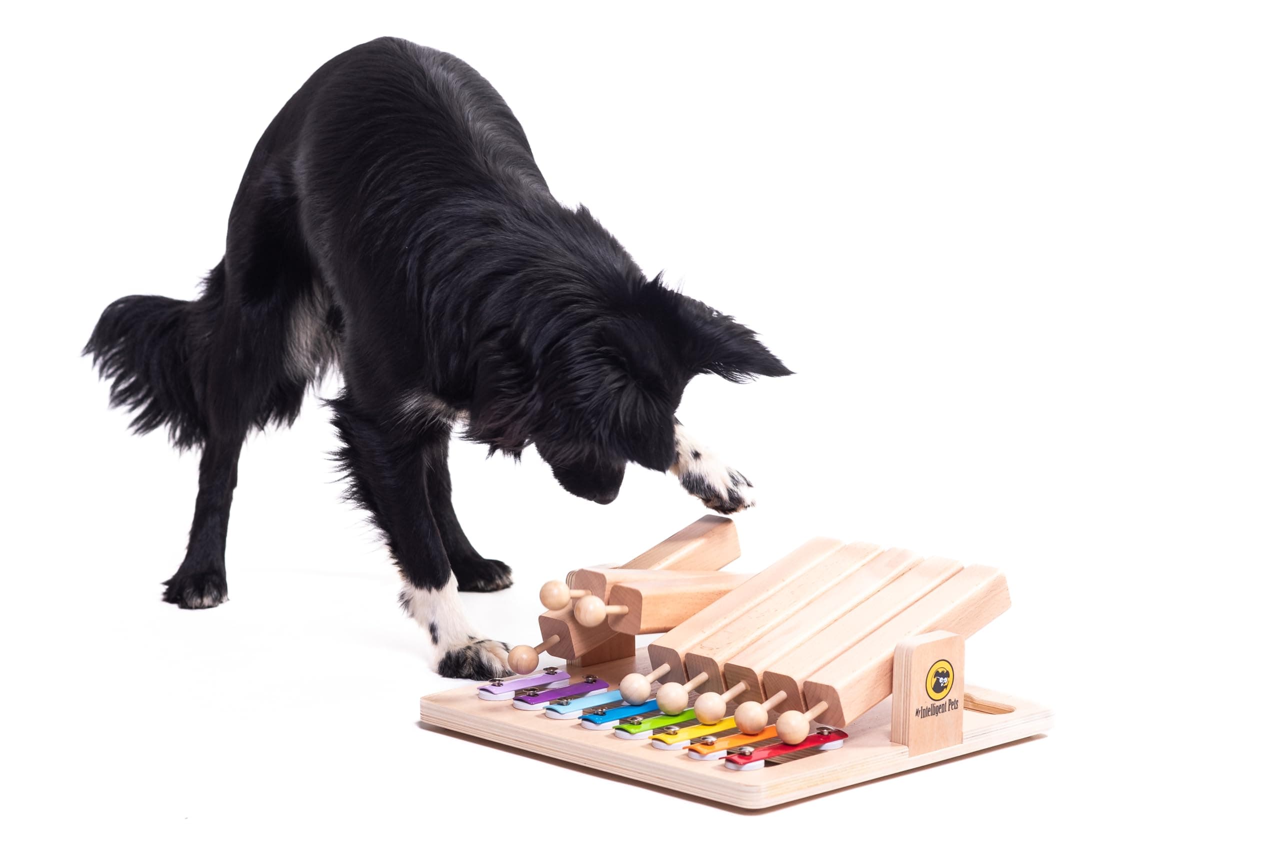 My Intelligent Dogs Interaktives Hundespielzeug Intelligenz - Intelligenzspielzeug für Hunde & Katze - Interaktives Spielzeug Hund, Katzenspielzeug - Denkspiele für Hunde - Piano