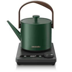 Arendo - Edelstahl Wasserkocher mit Temperatureinstellung 40-100 Grad - digitale Basis - 0,6 Liter - Teekocher mit Temperaturanzeige - BPA frei - Warmhaltefunktion - schwarz grün B: Mizu Grün