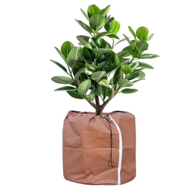 Tesmotor Thermo Topfschutz, Topfpflanzen Schutzbeutel für Pflanzen, Winter Topfschutz mit Zugband - 40 x 40 cm 40x40CM