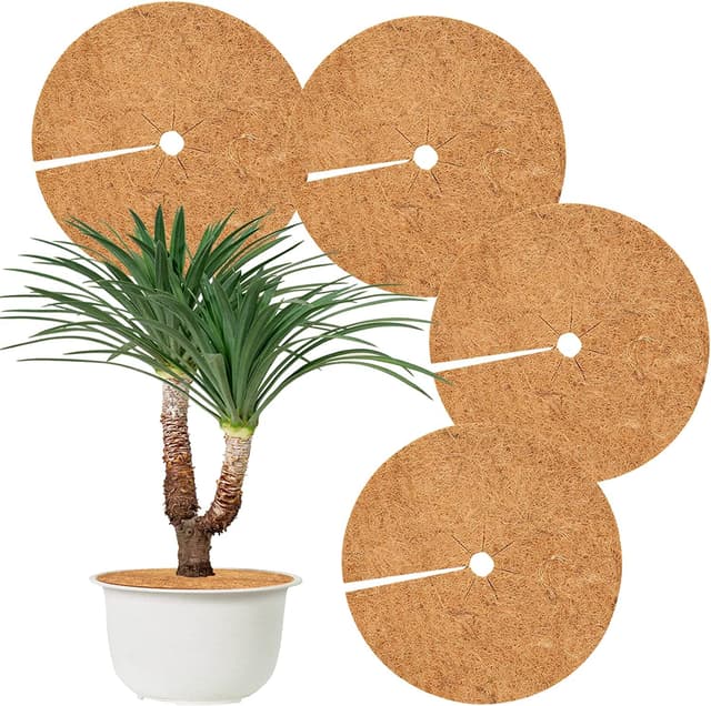 Hydrogarden 4 Stück Kokos Mulchscheibe,Ø60cm Winterschutz Kokos,Kokosscheibe,Winterschutz für Kübelpflanzen,Kokos Pflanzenschutz,Kübelabdeckung Frostschutz,Frostschutz Kälteschutz für Pflanzen