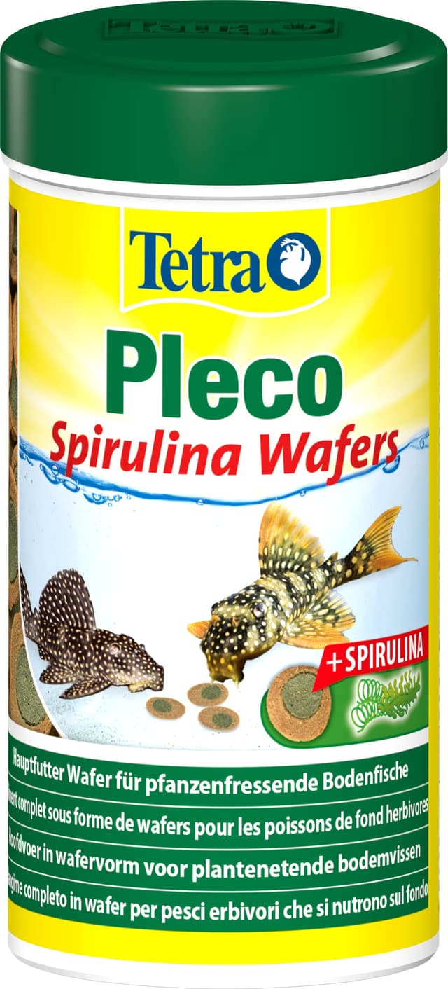 Tetra Pleco Algae Wafers - Fischfutter mit Spirulina-Algen für algenweidende Bodenfische, 250 ml Dose Algae Wafers 250 ml (1er Pack)