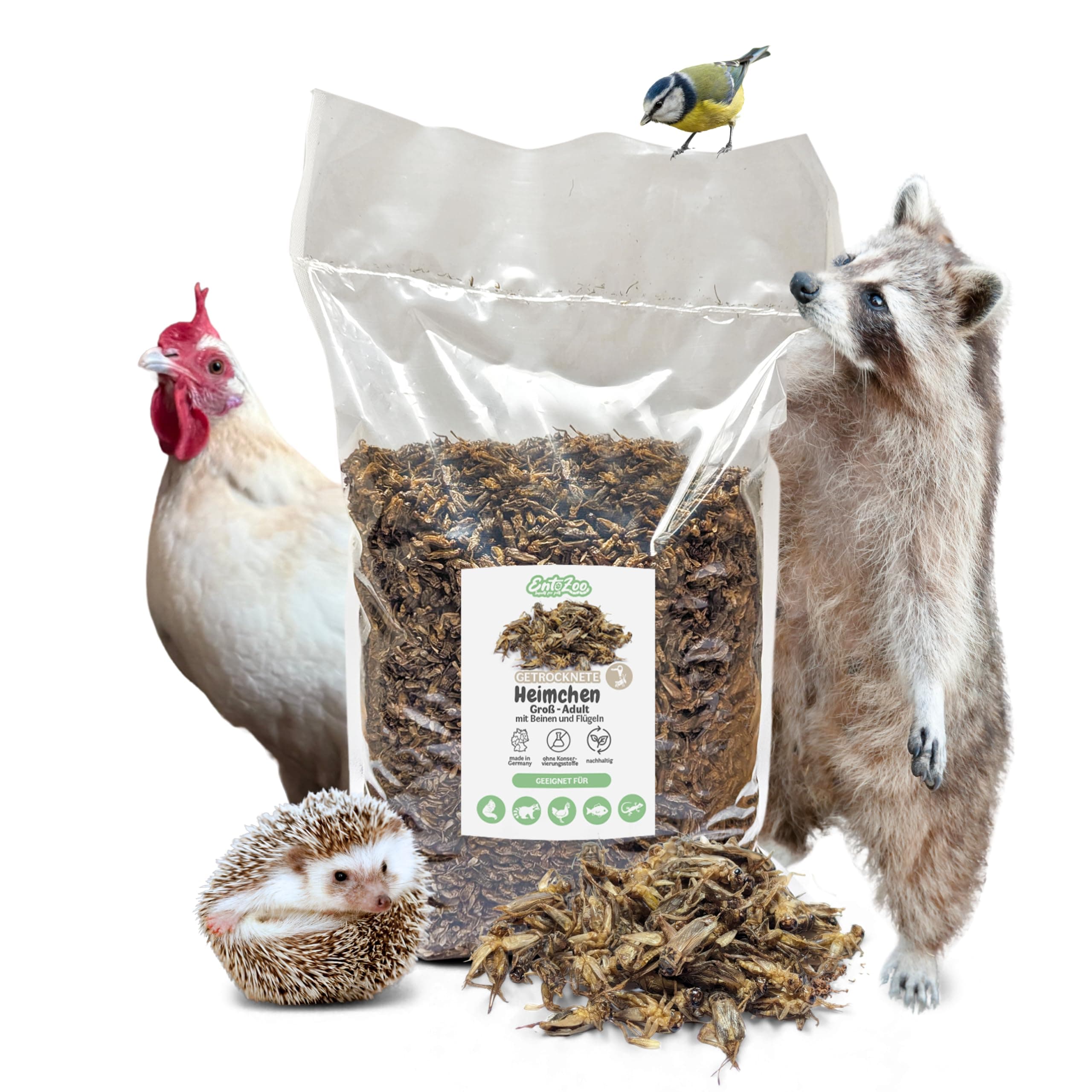 EntoZoo - getrocknete Grillen, Heimchen, Acheta Domesticus mit Beinen und Flügeln Futterinsekten, Vogelfutter, Igelfutter, Fischfutter, proteinreicher Snack für Reptilien Made in Germany (1 Kg) 1 kg (1er Pack)
