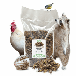 EntoZoo - getrocknete Grillen, Heimchen, Acheta Domesticus mit Beinen und Flügeln Futterinsekten, Vogelfutter, Igelfutter, Fischfutter, proteinreicher Snack für Reptilien Made in Germany (1 Kg) 1 kg (1er Pack) Angebot bei HelloDeals
