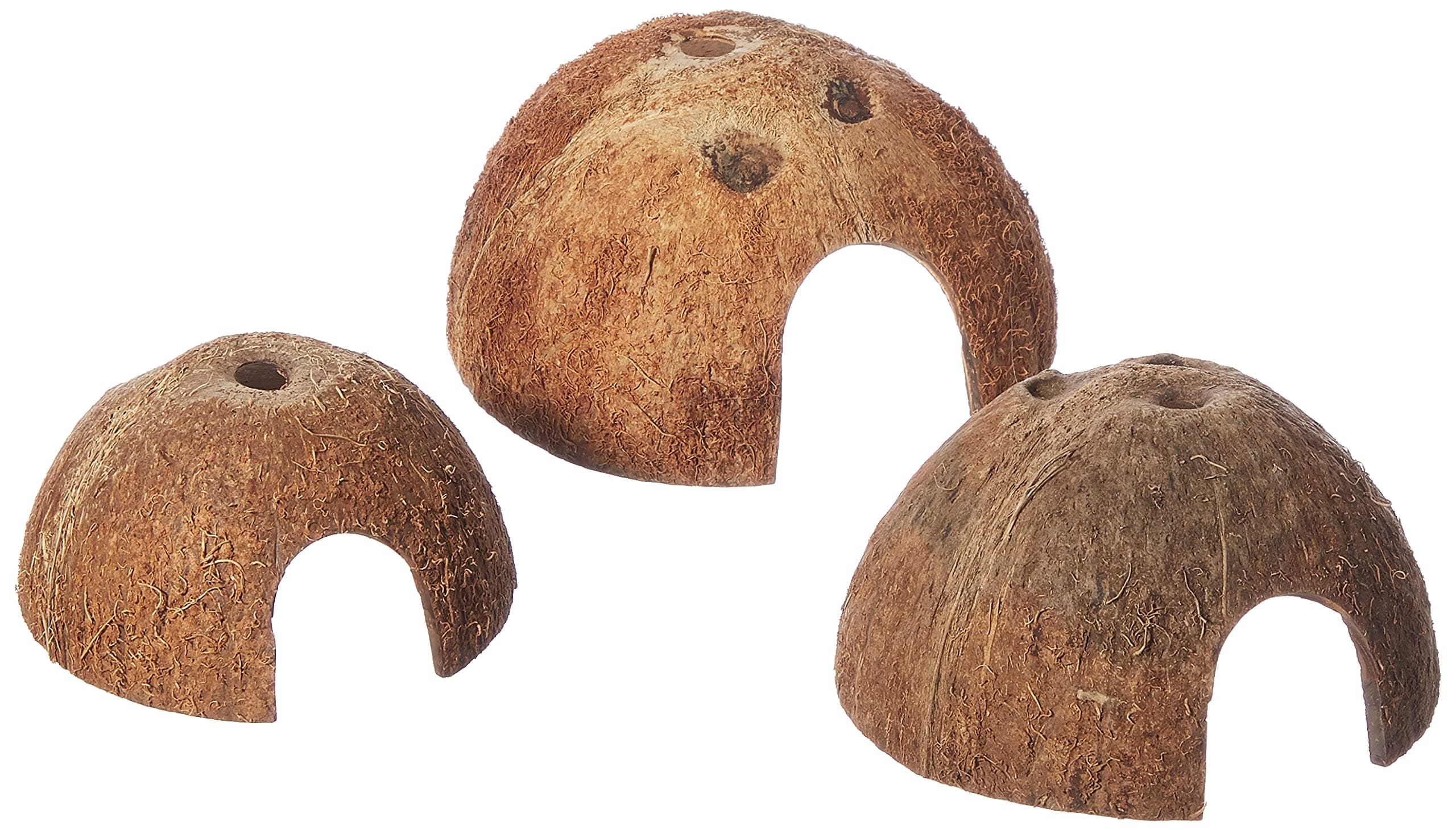 Trixie 76160 Set Kokosnuss Halbschale, Hund, ø 8/10/12 cm, 3 Stück (1er Pack) Natural Coconut Shell Color 3 Stück (1er Pack)
