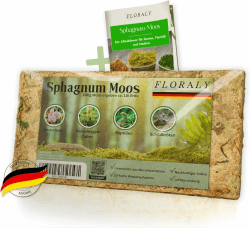 FLORALY 200g Premium Sphagnum-Moos für Pflanzen | geeignet für Orchideen, Bromelien, Terrarium oder Schildkröte UVM. | besonders langlebiges Torf-Moos, Peat Moss Sphagnum-Moss für Pflanzen lebend Angebot bei HelloDeals