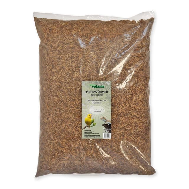 Eggersmann volaris Mehlwürmer getrocknet 5kg – Wildvogelfutter proteinreich & natürlich – Getrocknete Mehlwürmer ideal für Wildvögel, Hühner & andere Heimtiere – Vogelfutter frei von Pestiziden 5 kg (1er Pack)