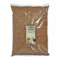Eggersmann volaris Mehlwürmer getrocknet 5kg – Wildvogelfutter proteinreich & natürlich – Getrocknete Mehlwürmer ideal für Wildvögel, Hühner & andere Heimtiere – Vogelfutter frei von Pestiziden 5 kg (1er Pack) Angebot bei HelloDeals