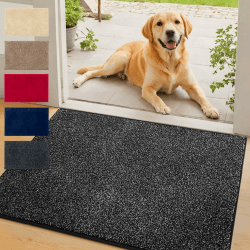 Floordirekt Schmutzfangmatte NASA, Anthrazit - 60 x 90 cm Fußmatte, Türmatte für Eingangsbereich aus Polyester mit Rutschfester Unterseite Anthrazit 90 x 60 cm (Rechteckig) Angebot bei HelloDeals