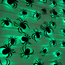 24 Stück Halloween Deko, Halloween Spinnen LED Deko, Kunststoff Spinnen Deko, Fensterdeko Outdoor,Indoor,Garten,Party Dekorations, Sticker (Spinne) Angebot bei HelloDeals