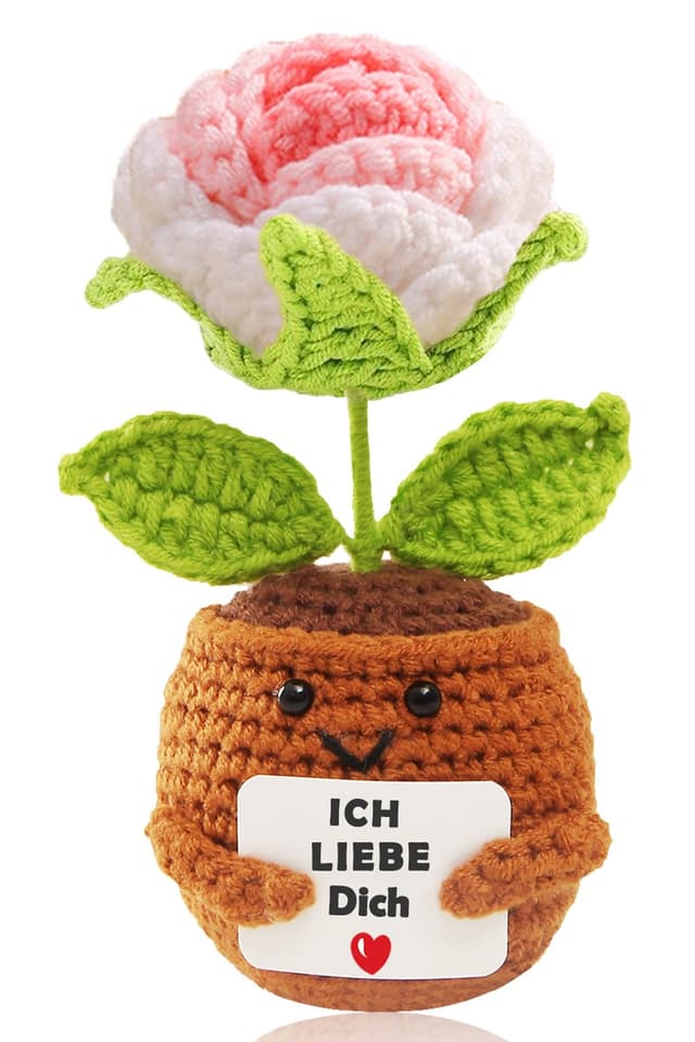 BOAITE Ich Liebe Dich Geschenke für Frauen Männer, Geschenk für Paar- Pocket Hug Rose, Partner Geschenke, Hochzeitstag, Jahrestag Geschenk für Sie Ihn, Liebes Geschenk für Ihn Sie Weiße Rosen mit Farbverlauf