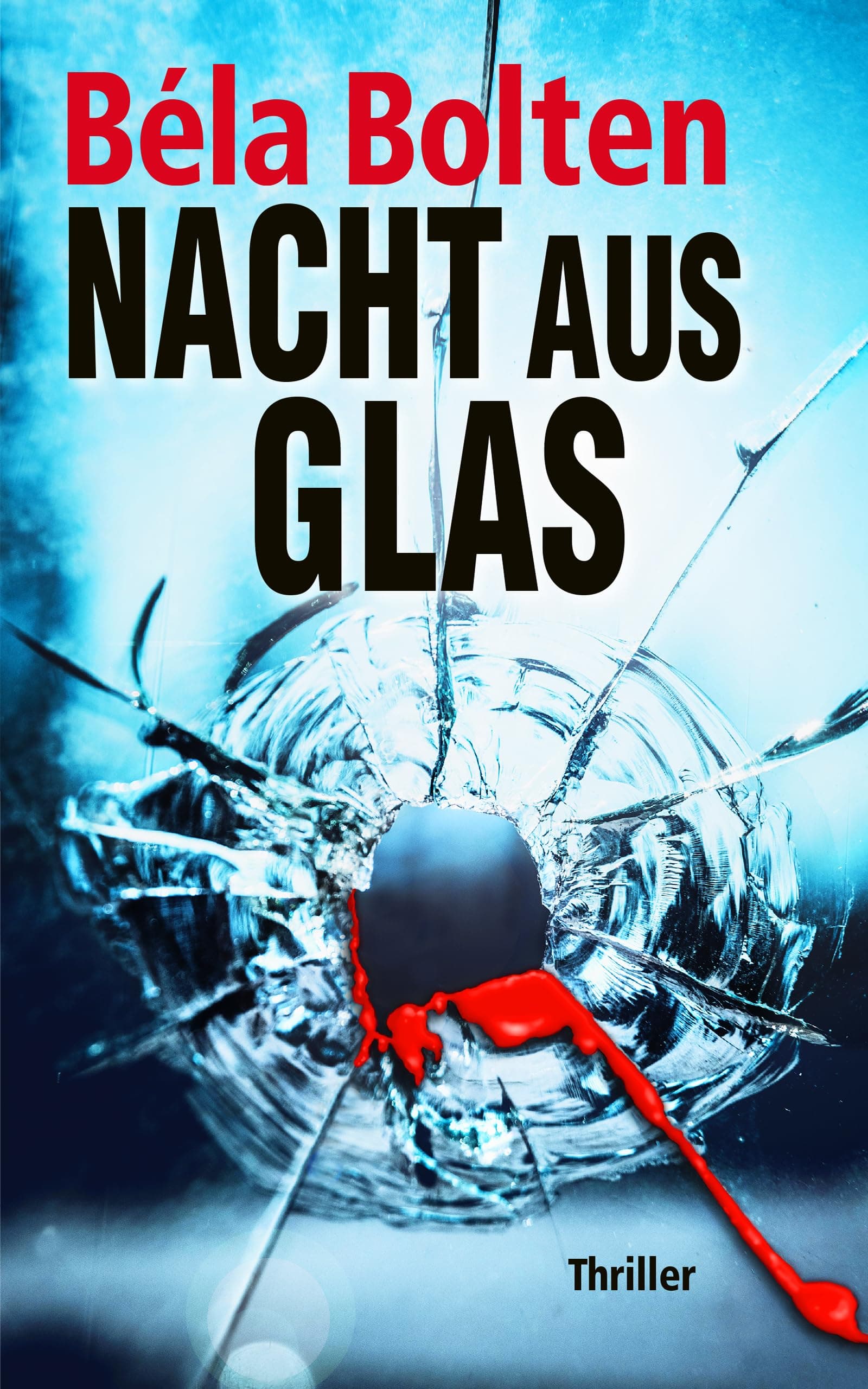 Nacht aus Glas (Berg und Thal ermitteln)