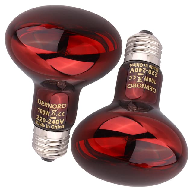 DERNORD Reptilien Rotlichtlampe Birne - 100 Watt R80 Infrarotlampe Rotlichtlampe Wärmelampe Tiere für Urzeitkrebse Schildkröten Vogelspinne Vivarium 2 Pack Rotlichtlampe 100w