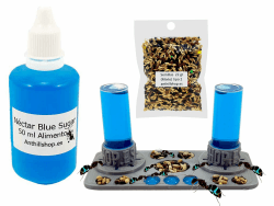 Ameisennahrung ┃ Ausgezeichnetes Futterset für Ihre Ameisen und Ameisenfarmen ┃ Enthält einen Nektar Blue Sugar 50 ml, Beutel mit 22 g Samenmischungen und einen fantastischen Mega-Babykäfig Angebot bei HelloDeals