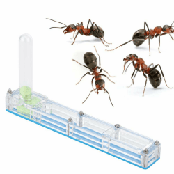 Ameisennest, Ameisenfarm Burg, natürliche Insekten-Ökologiebox, Formicarium, Schaukasten mit Wasserturm, feuchtigkeitsspendend, blau, Kompakt Angebot bei HelloDeals