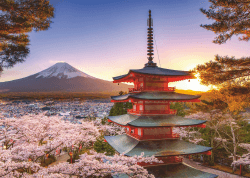 Ravensburger Puzzle 12000582 - Kirschblüte in Japan - 1000 Teile Puzzle für Erwachsene und Kinder ab 14 Jahren, neues Design Angebot bei HelloDeals