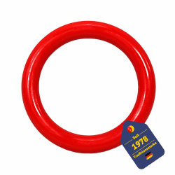 BEST SPORTING Tauchringe für Kinder 14 cm I Kinder Tauchringe, ideal für Seepferdchen und Co. I Tauchspielzeug für Kinder I Tauchringe für Kinder Set I Tauchring Kinder Rot Angebot bei HelloDeals