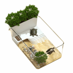 Wasserschildkröten-Terrarium, transparentes Schildkröten-Terrarium, transparenter Lebensraum für Schildkröten, Terrapin, Krabben, pädagogische Aktivitäten, Schule, Wissenschaftsunterricht Angebot bei HelloDeals