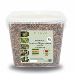 ENTAVA 10l Soldatenfliegenlarven getrocknet in Premium-Qualität, Vogelfutter, Koifutter, Igelfutter, Eichhörnchenfutter, ganzjähriges Futter für Wildvögel (10 Liter (1400g)) (10l) Angebot bei HelloDeals