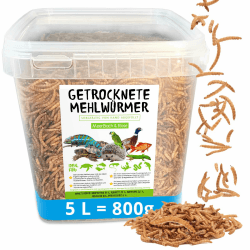 Mehlwürmer getrocknet, 800g (entspricht 5 L) getrocknete Mehlwürmer im praktischen Eimer, proteinreicher Snack für Wildvögel, Fische, Reptilien und Nager 800 g (1er Pack) Angebot bei HelloDeals