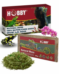 HOBBY Terraristik Natural Moss I 100g I tropisches Substrat für Terrarien und Orchideen I Moos für Terrarien I 100% natürlich und ohne chemische Zusätze I Moos zur Erhöhung der Luftfeuchtigkeit Angebot bei HelloDeals