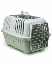 lionto Hundetransportbox aus Kunststoff mit Metallgitter, 58,5x35,5x40 cm, Transportbox mit praktischem Schließsystem & Tragegriff, auch geeignet für Katzen & Kleintiere, für Haustiere bis 15kg, grün Hellgrün Angebot bei HelloDeals