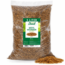 HÜHNER Land Mehlwurm Schmaus, Feinkost Mehlwürmer getrocknet 5 Liter für Ziergeflügel, Reptilien - Ziergeflügelfutter ohne Zusätze Angebot bei HelloDeals